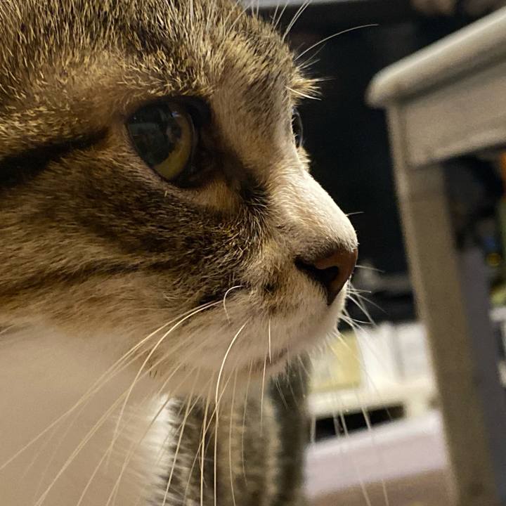 C26cb05a f422 436c 9dcd 041dc8fadb51 1633553845999