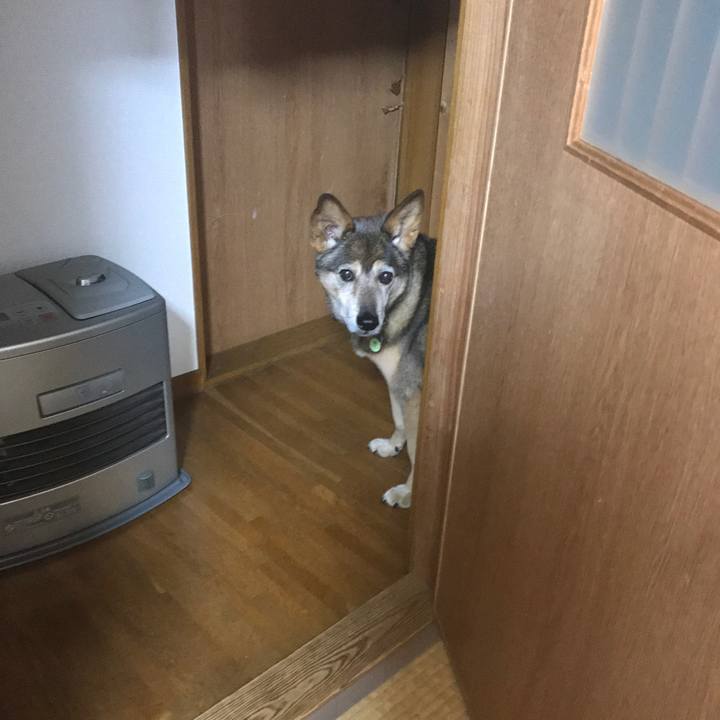 C26cce93 f86d 4a59 97cc 5094726e669c 1535713773390