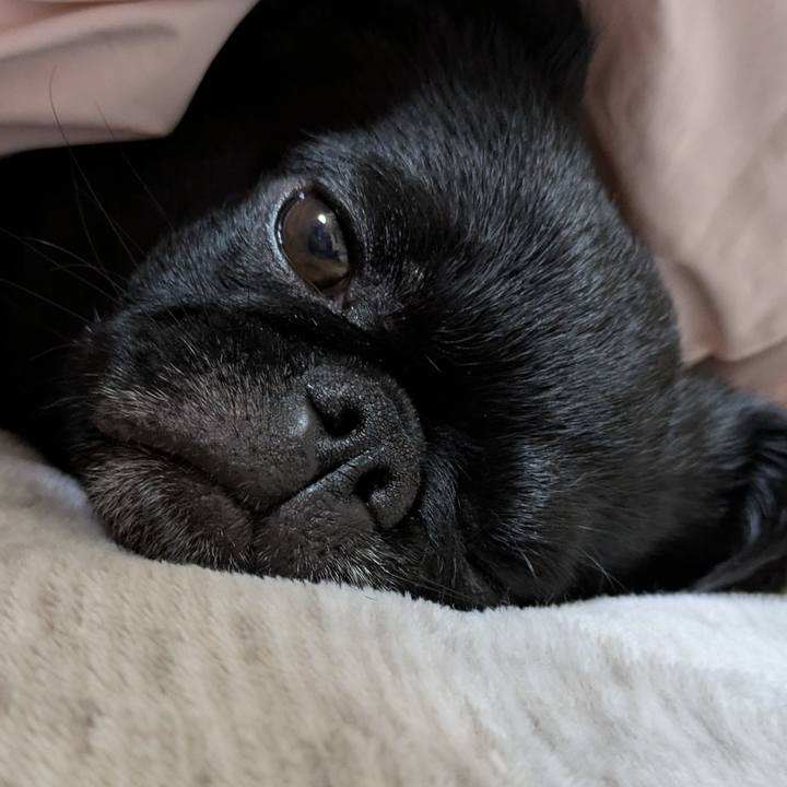 C26cf72e 0a5c 4690 bfea 86b936242518 1774183801359