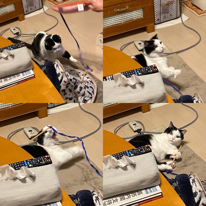 C26d1478 7522 4067 b179 76fae43e3211 1762039532093