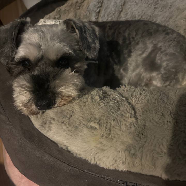 C26d2074 af3b 4c08 8707 e56f9793a4bc 1719552750945