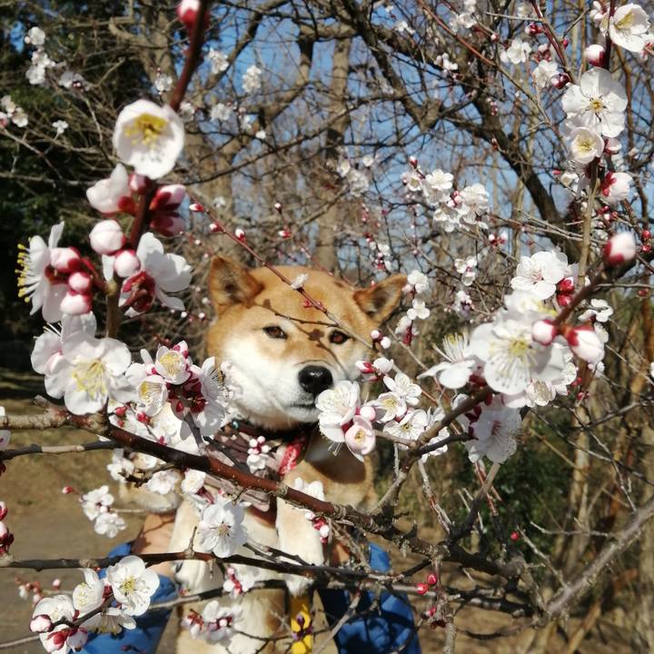 C26d341a ecb4 422d b7f0 39ffc4920fe0 1582535926584