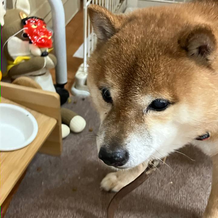 C26d9874 7e9b 4ca3 8c13 fcf5a353a57d 1770118043068