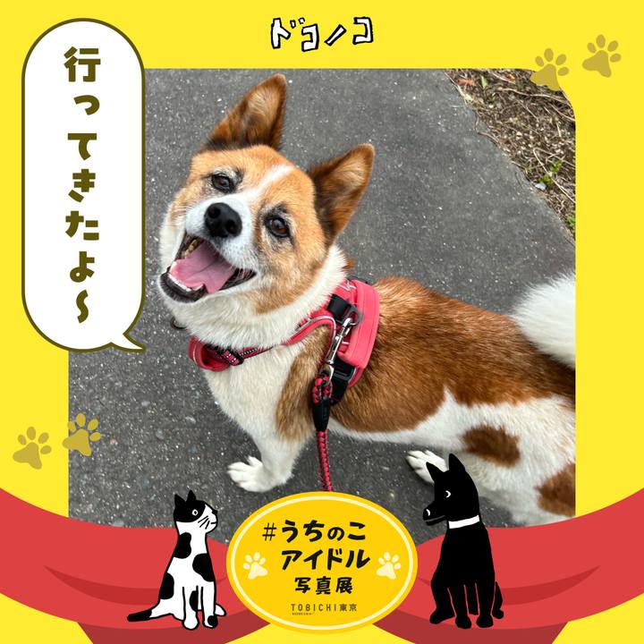 C26dade7 0673 4c86 8e00 1fdaa54c69ae 1761152769138