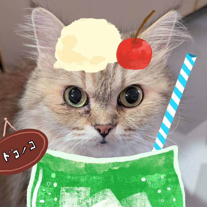 C26db4cc fcfe 4e34 83db c86f7b4defe4 1755384881057