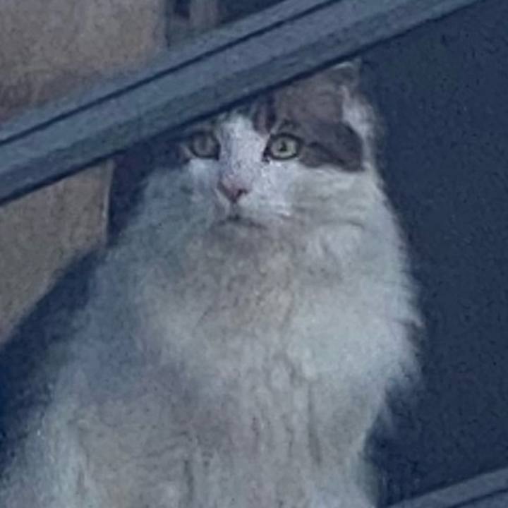 C26de9ec fcd7 464f 95d7 717a2836bdb6 1744239555831