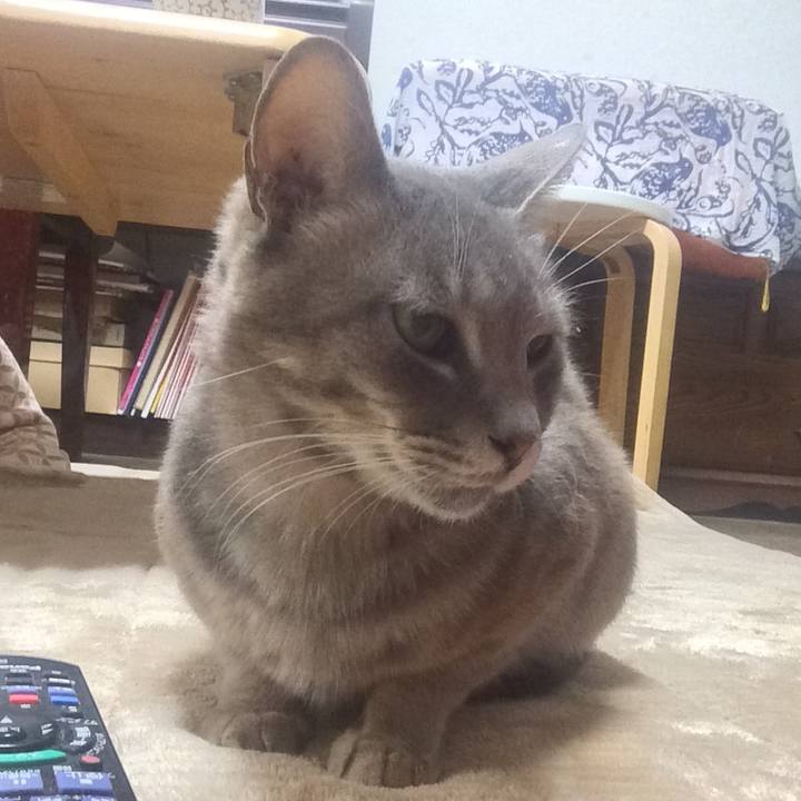 C26dfccf eff7 4ae8 8f45 4ca4134e9a23 1558534067198