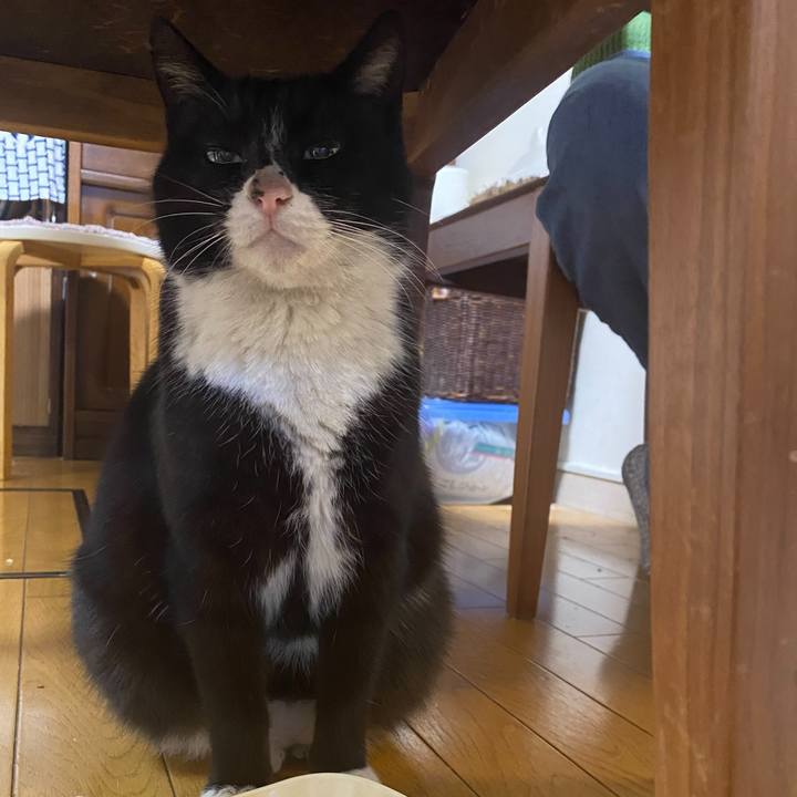 C26e15c3 513c 4c7b b730 c28d83d5b4a8 1771891980367