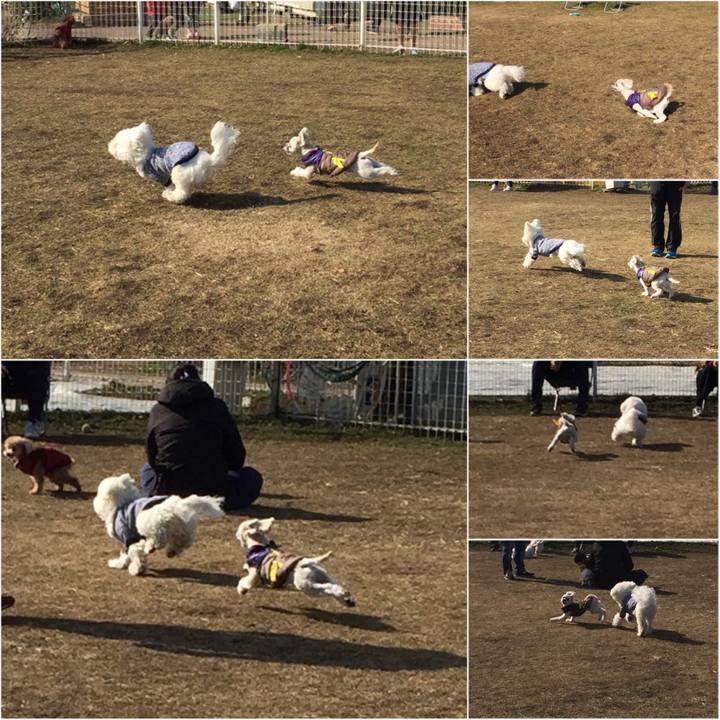 C26e46cc d2c0 4a48 9e5d 58acdfe590a6 1516514086886