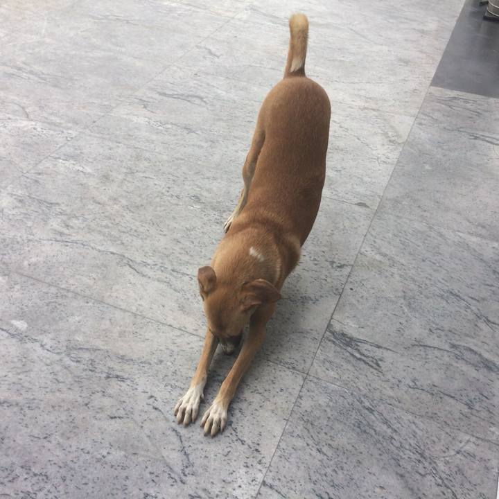 C26e8392 4f58 4b49 9af0 df4cf32107d3 1525777097132