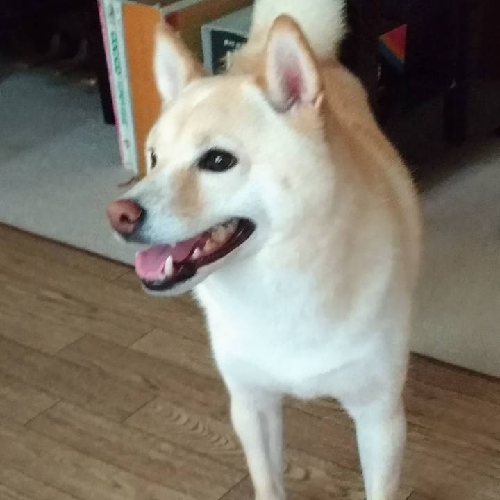 C26e9d21 59a7 43d7 b669 a3c14308c9c4 1596924669170