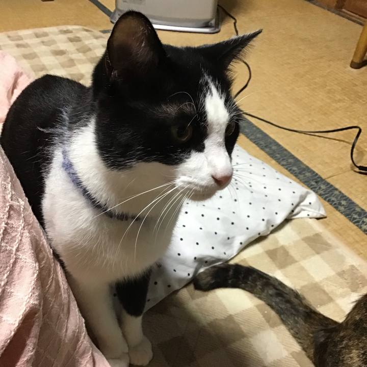 C26e9f62 014a 4ccf 98be f51db87721ff 1667739135502