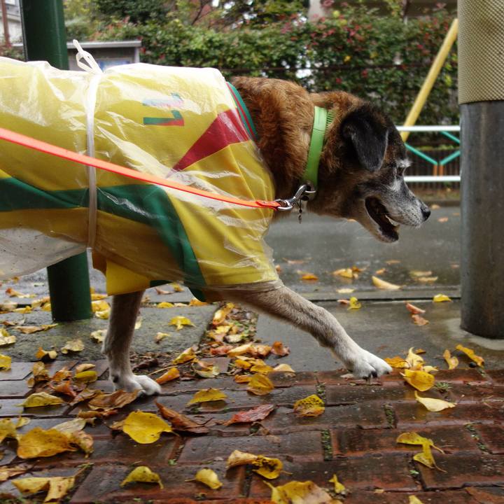 C26ee56c c18d 4834 9745 244df551cdf5 1574555126443