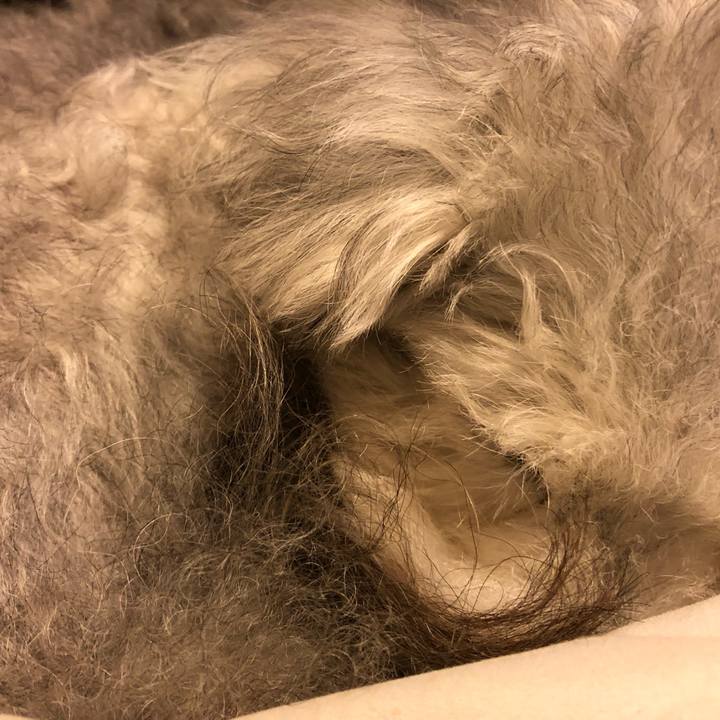 C26f543e 0ab4 4f68 903d d479150d1b63 1636029372517