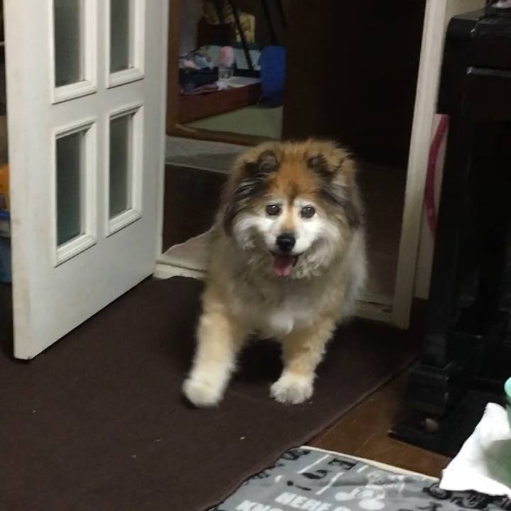 C26f7046 03c6 44c1 a606 e2c19876abe7 1574508732171