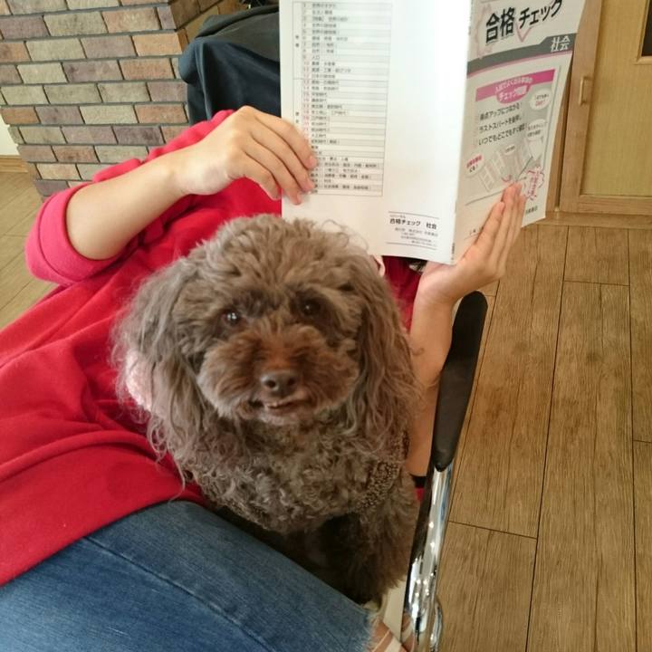 C26f7df3 c97e 4f41 aa12 d98d18dc8a1f 1511061734400