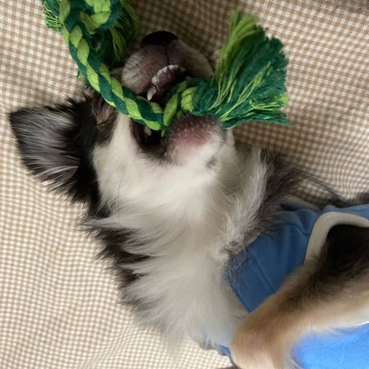 C26faa2f 586f 40e0 841b f2b71e1db723 1648390928235