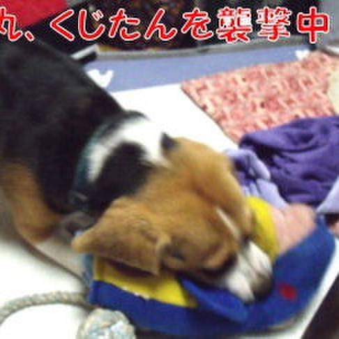 C26fc0ba ea1e 4542 ae54 733cfc5a0aba 1690675271106