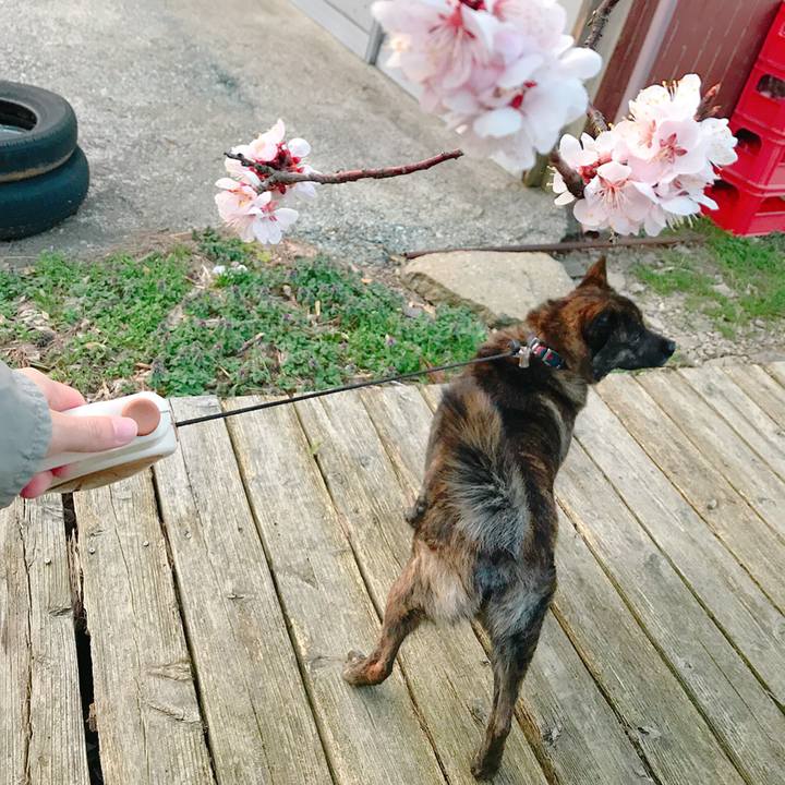 C26fc5a6 8fd4 43c7 a381 ee6a0f49307d 1522490647310