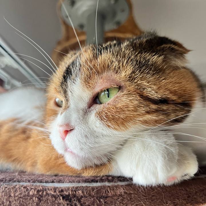 C26fcabc 4411 4603 a5fc 450e81f4b03f 1752218646025