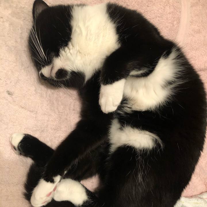 C26fd65d 6cce 4cd1 a1f9 1c78b53b8188 1590615986073