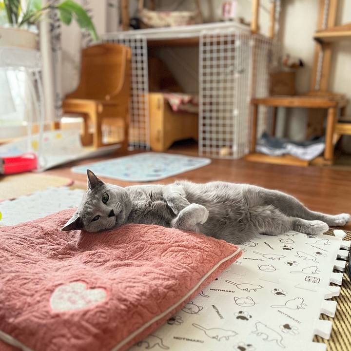 C26fdbad 232b 4742 bcba 52d0092ee2c8 1724038503113