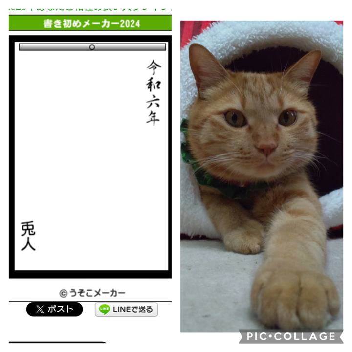 C26fe8cb 60b9 42e4 9eb2 60ed9e031e0f 1705221792151