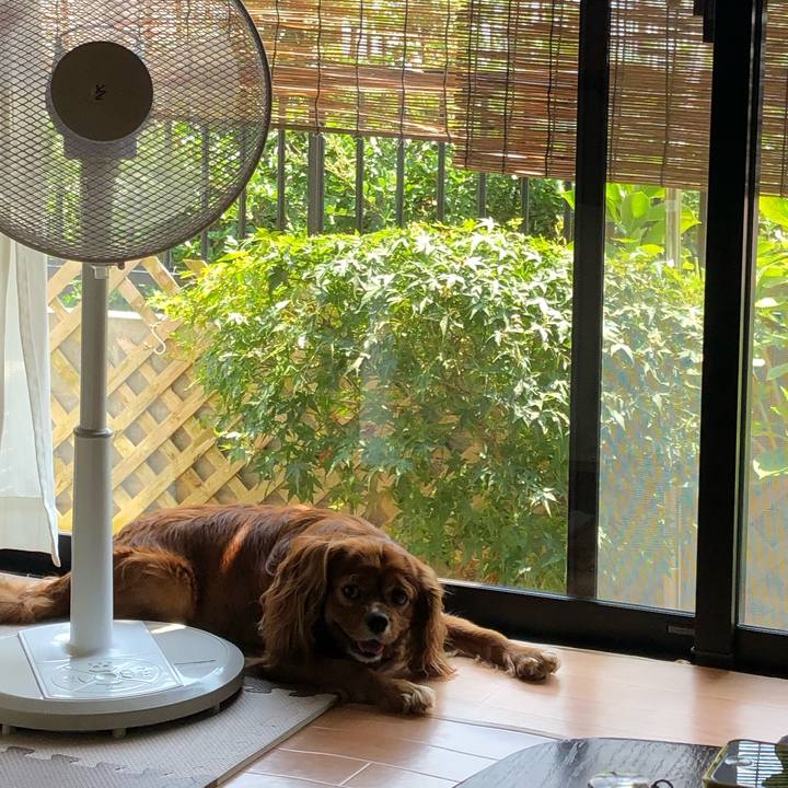 C26ff3b6 bd66 4970 9b91 a9ea69c97db4 1628202562834