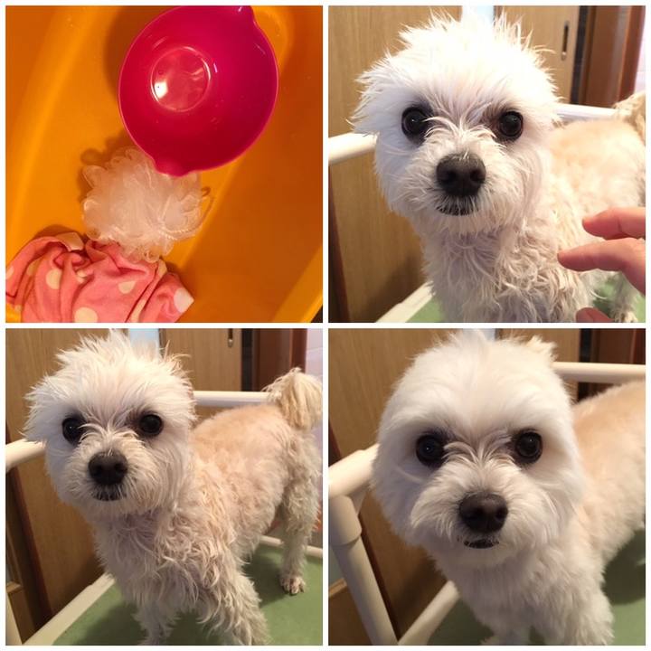 C270135d c1ea 4f3e 8945 12d33f4ef084 1558421328827