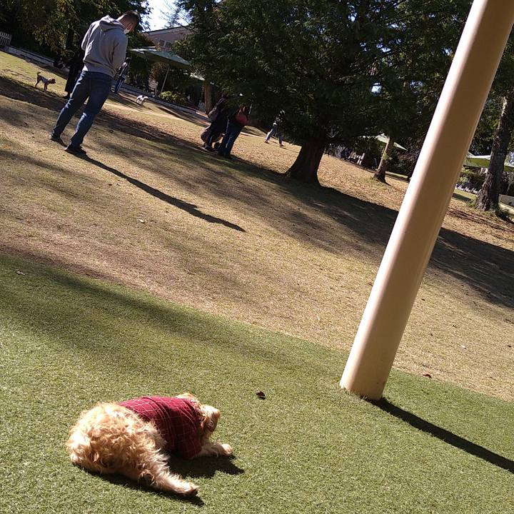 C27026ce eac5 4a20 b8b4 c5ca7500995b 1604457327406