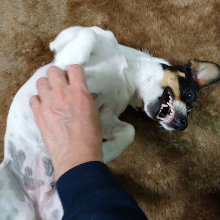 C2702a60 82b0 4029 8a50 c4b526468242 1579617936976