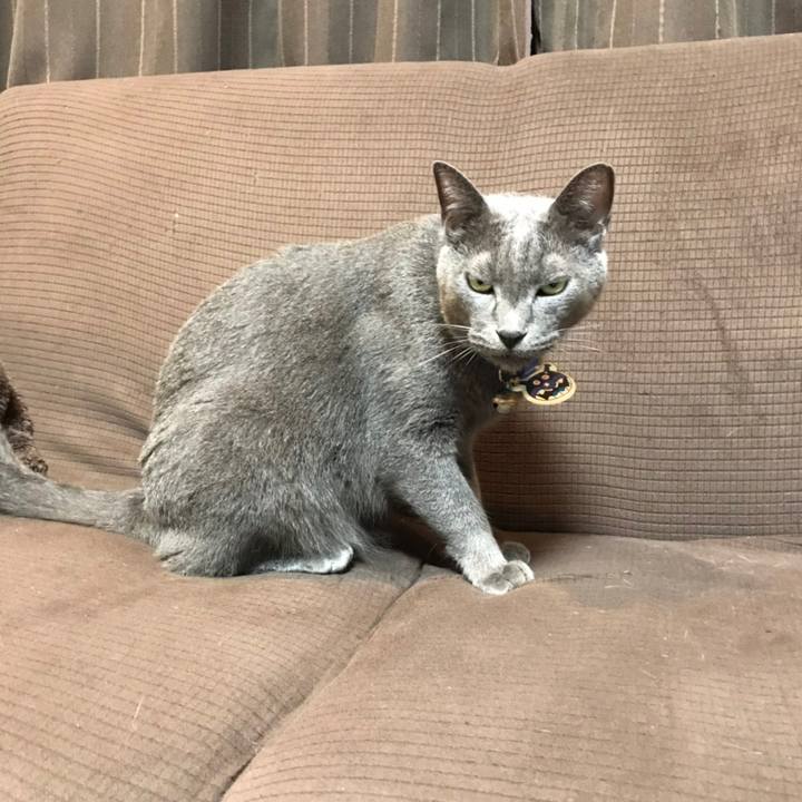 C2704ab2 5c8b 4757 8c57 de5e0547205b 1562764812905