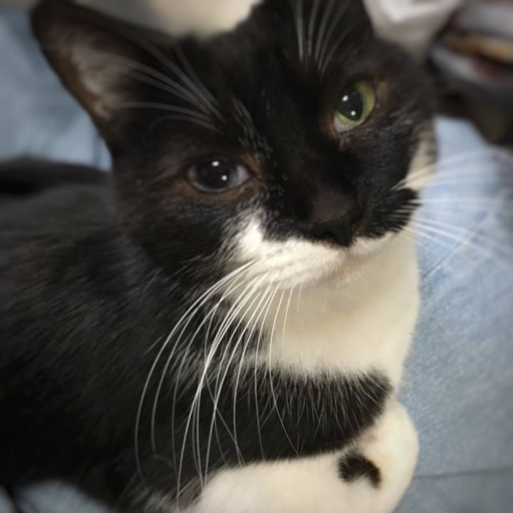 C2704bef dbb3 43d8 964d f74618e01f67 1582972194544