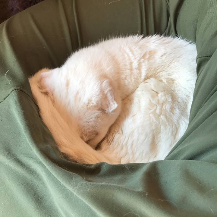 C2705ed2 094d 4e3a ba91 cac9b845ed39 1527892583815