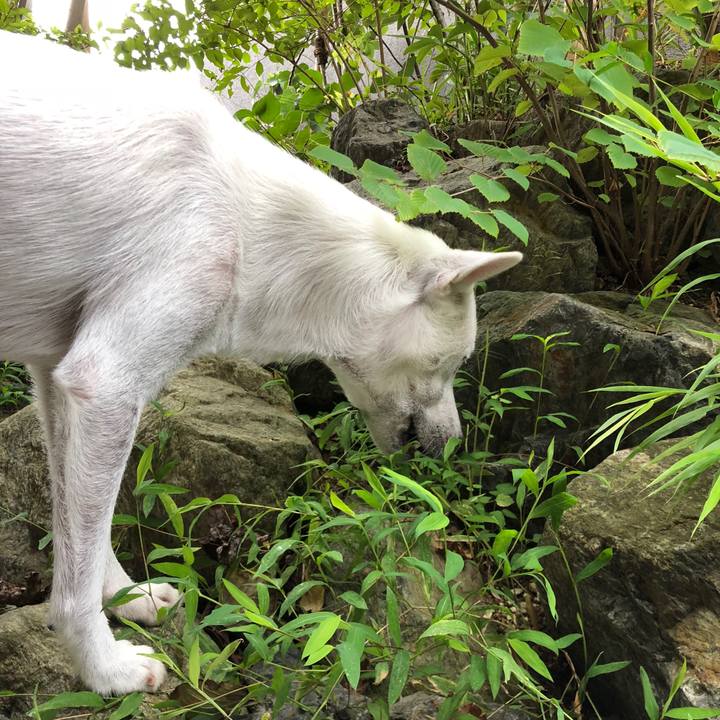 C2706302 c9e7 4e37 a83f f3fb2b9cc57f 1537345993000