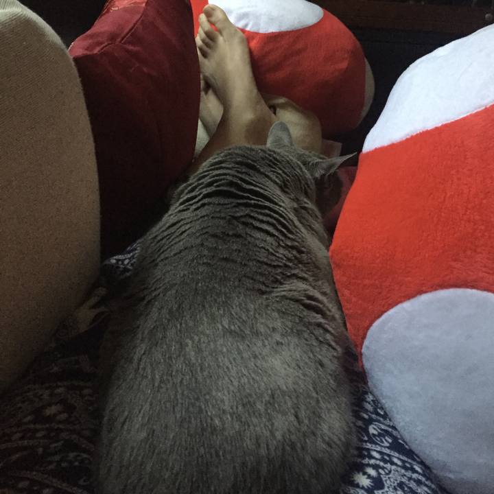 C270737b b550 4c38 95d8 3386b64cd27b 1558049868825