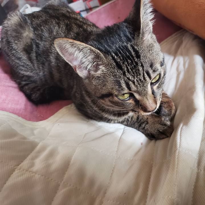 C2709f8b 6372 49e1 98d9 4f1ea16514ba 1542694806740