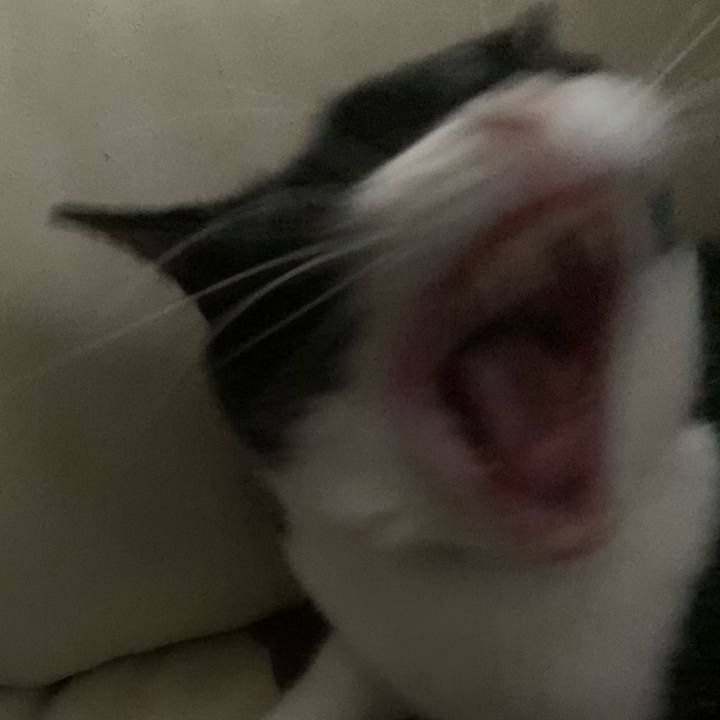 C270b3b0 9f7f 4ca6 8ee4 a8b13dbe1992 1621914262215