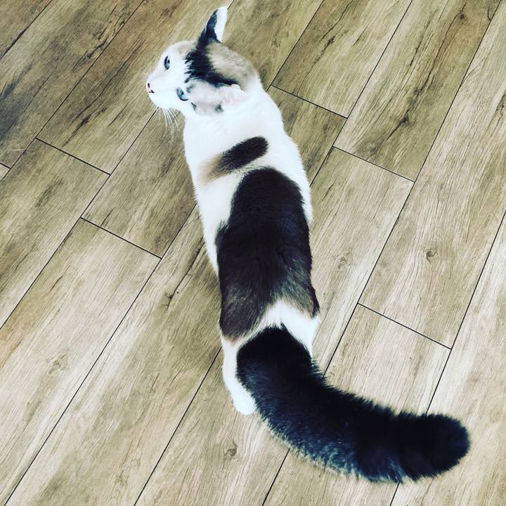 C270e678 581d 4b18 a4de d1aa324b2640 1695955585261