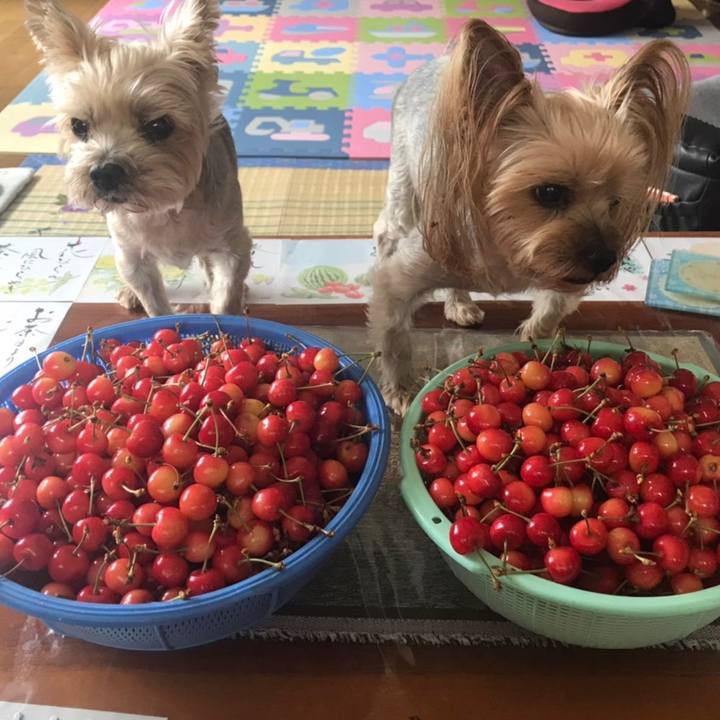 C270eb37 bd0f 4c0d 9b66 46d6f78477d5 1592905990138