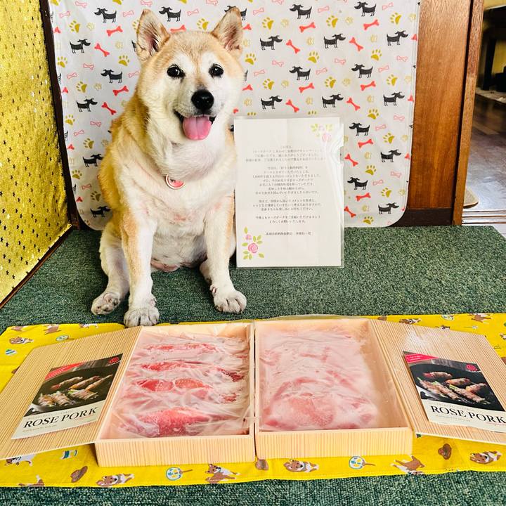 C2713544 08c8 479a 9599 2b6d5b51fa03 1752719938781