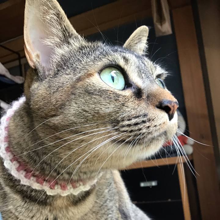 C27180df e228 446a acdd 4943ce868b42 1655529469212