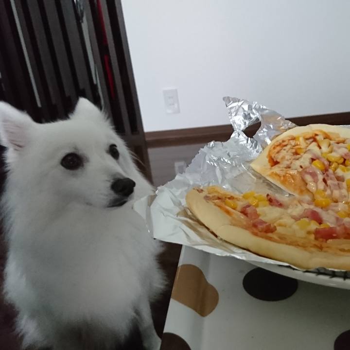 C271a826 b131 4840 9e39 14d17bf6bf1b 1529377402185