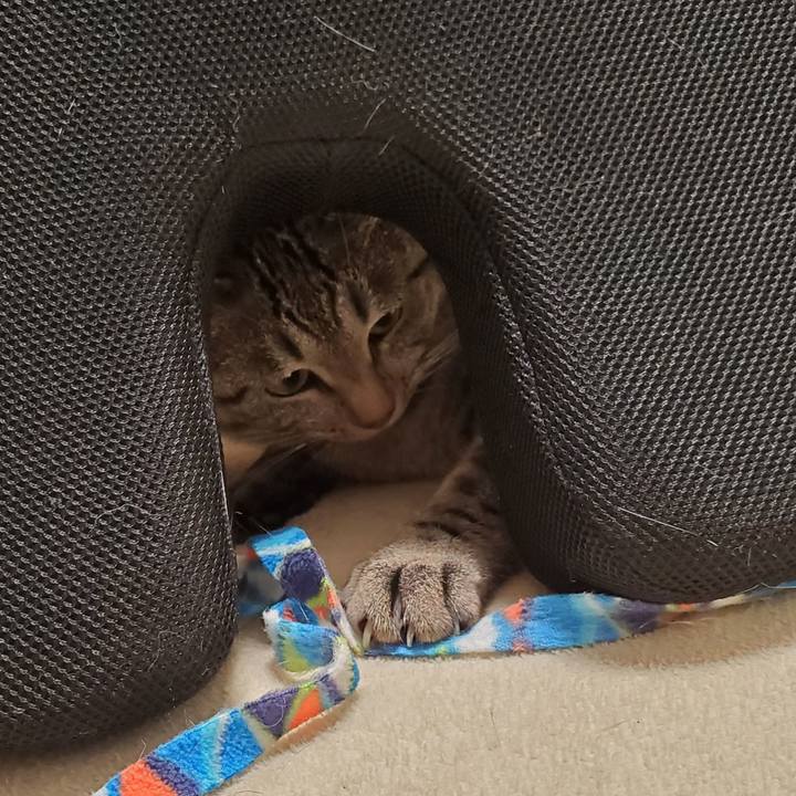 C271e0b1 3c0f 490f 9abb ee8a5e9e6398 1700057580809