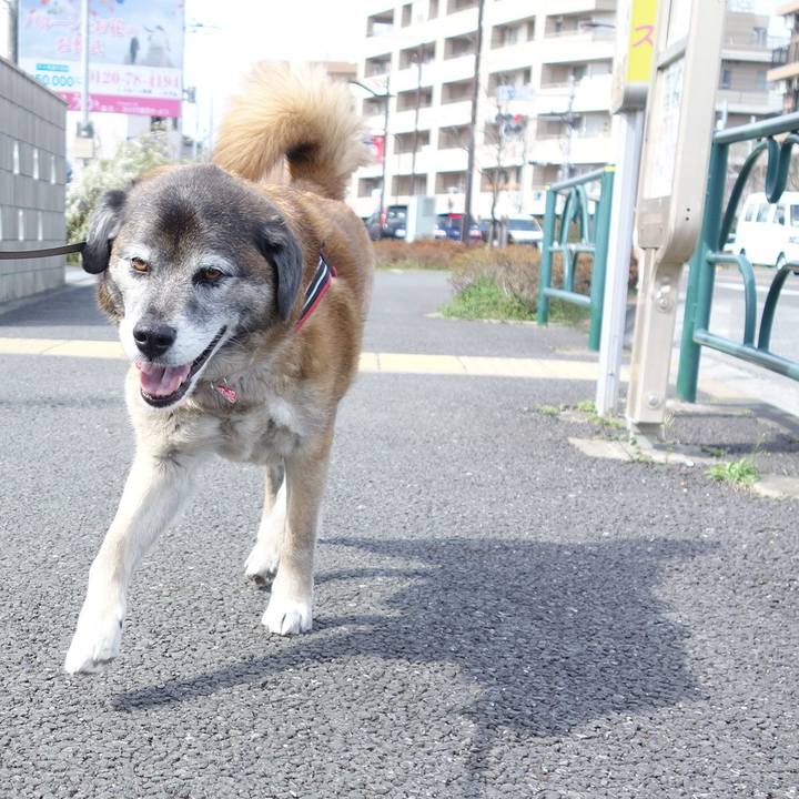 C271eb39 9686 4554 a604 ea717a1bd952 1631406379452