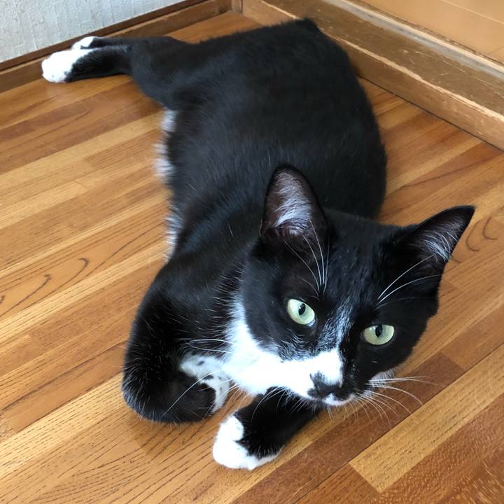 C272100c 918c 4095 9a10 5974148eecdf 1528256992195