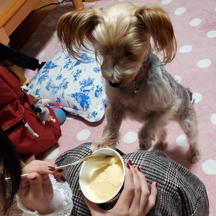 C2722ad5 6222 405c 9eca 35f14f6378af 1575377739493