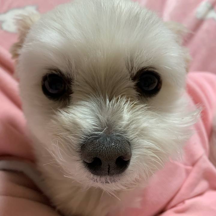 C272d0f0 adb0 4084 8895 3e434c7c6969 1580899769118