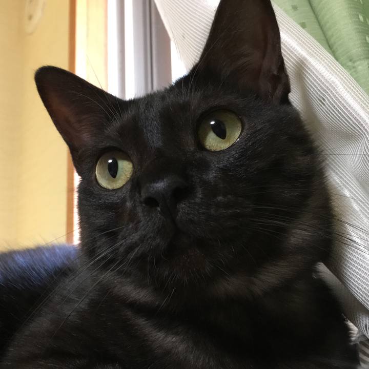 C272e84a b325 4dd2 b9bd 1e254330df70 1550710844393