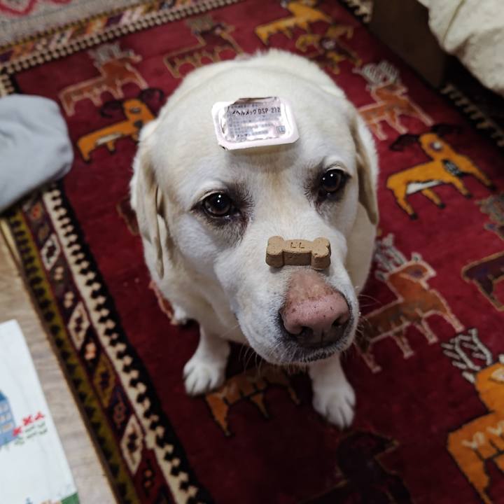 C272f3c9 121c 45f5 a2f4 6d022af8f491 1750080942217